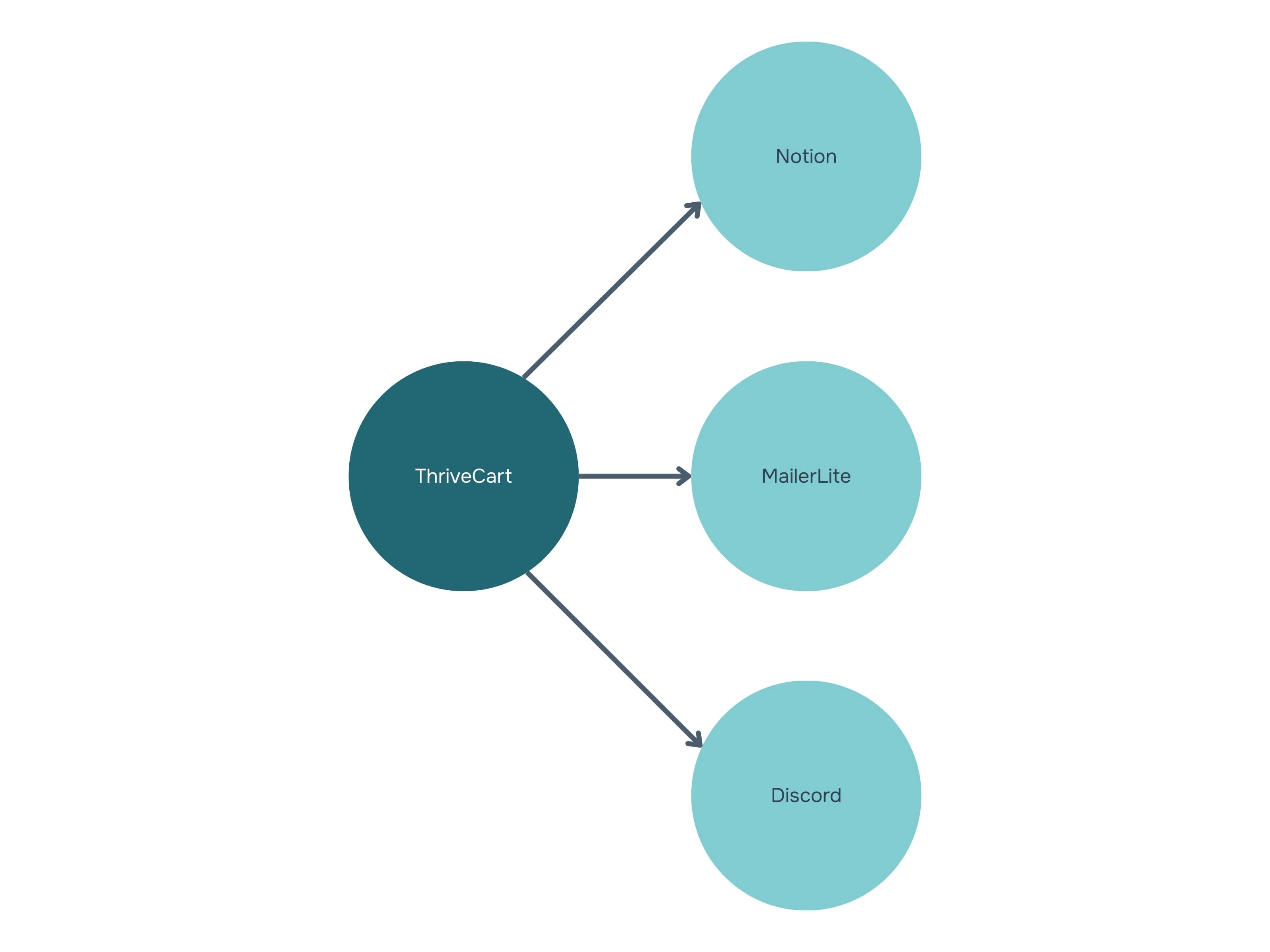 Automatisation Thrivecart Notion Discord Mailerlite